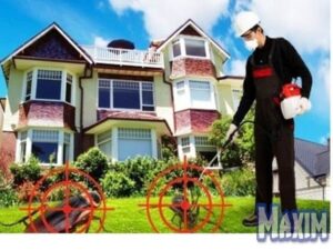 شركة مكافحة حشرات بالدمام