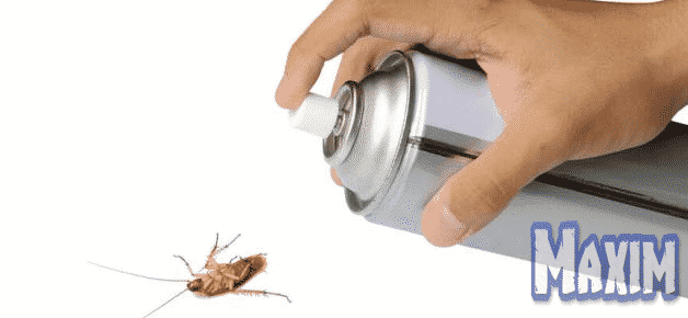 كيف يمكن التخلص من الصراصير داخل المنزل ؟