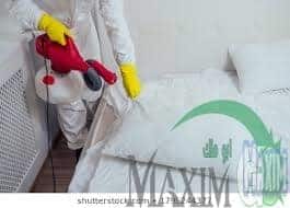 شركة مكافحة البق بالرياض شركة مكافحة البق بالرياض