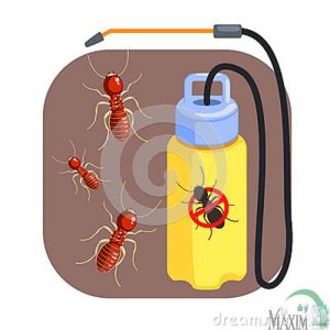 شركة مكافحة نمل الابيض بالعزيزيه شركة مكافحة نمل الابيض بالعزيزيه