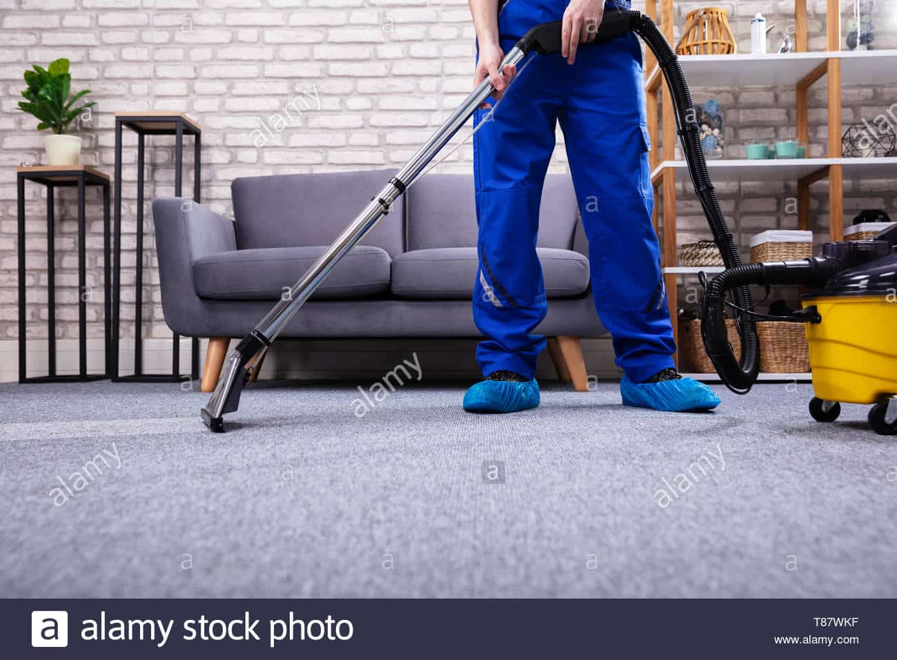 human cleaning carpet in the living room using vacuum cleaner at home T87WKF
