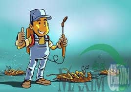 اسعار شركة مكافحة الصراصير بابها اسعار شركة مكافحة الصراصير بابها