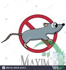 اسعار شركة مكافحة الفئران بملهم اسعار شركة مكافحة الفئران بملهم