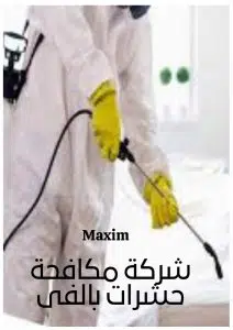 شركة مكافحة الحشرات بالفيصلية شركة مكافحة الحشرات بالفيصلية